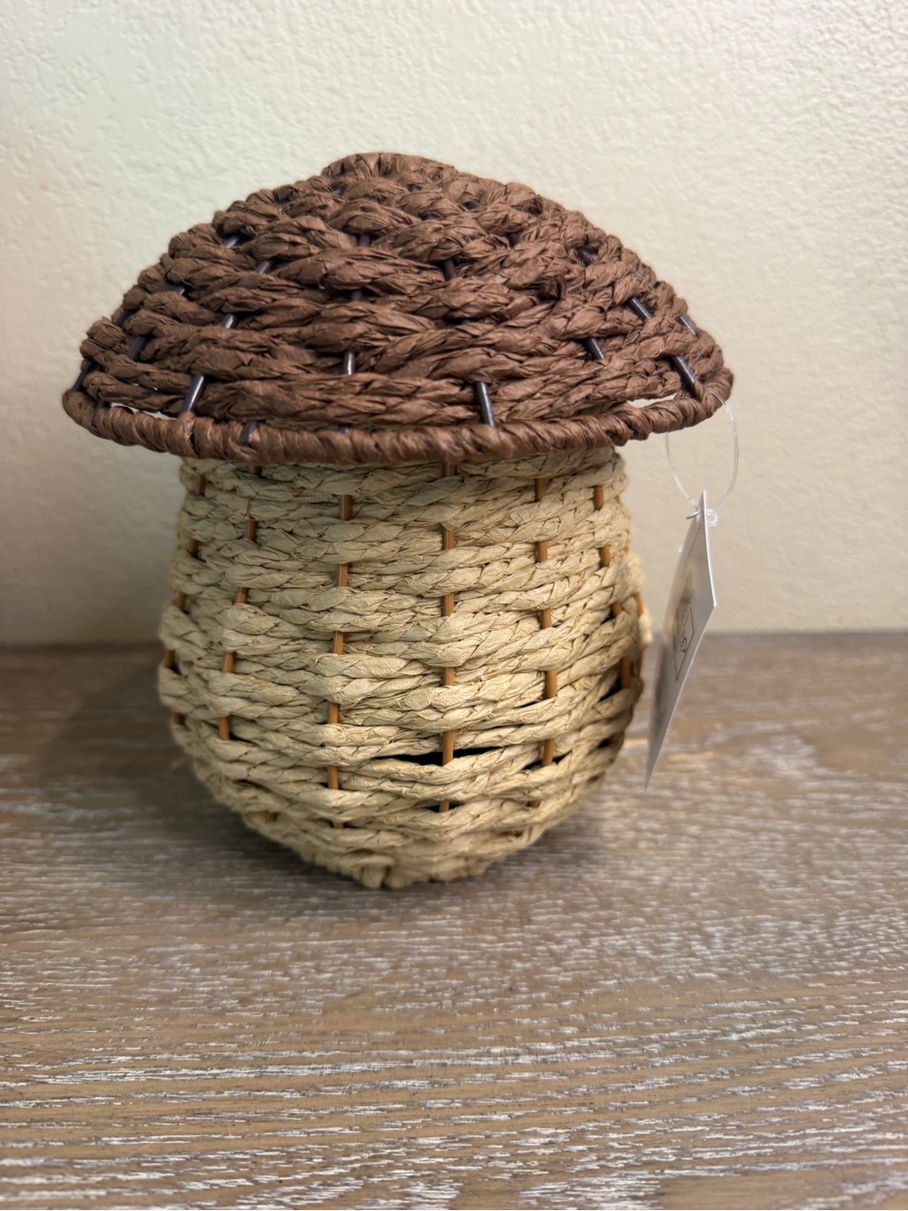 Target Bullseye Acorn Shaped Woven Wicker Basket 8" Tall With Lid Fall Autumn